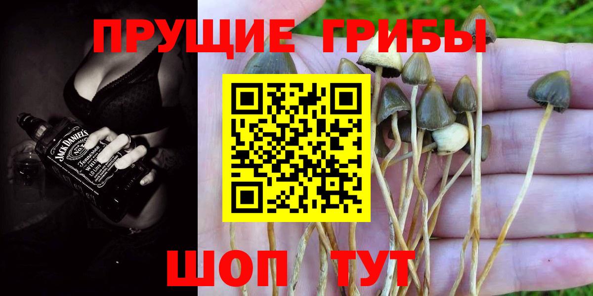 Галлюциногенные грибы GOLDEN TEACHER  Вход с VPN  Октябрьский 