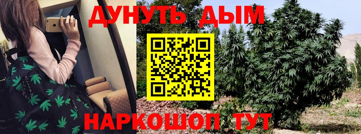 Бошки Шишки Amnesia Октябрьский